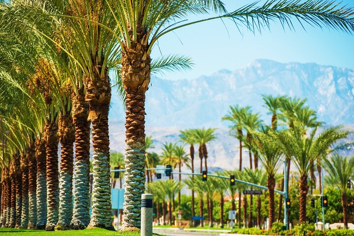 Palm Springs and Joshua Tree Self-Guided Driving Audio Tours - Photo 1 of 24